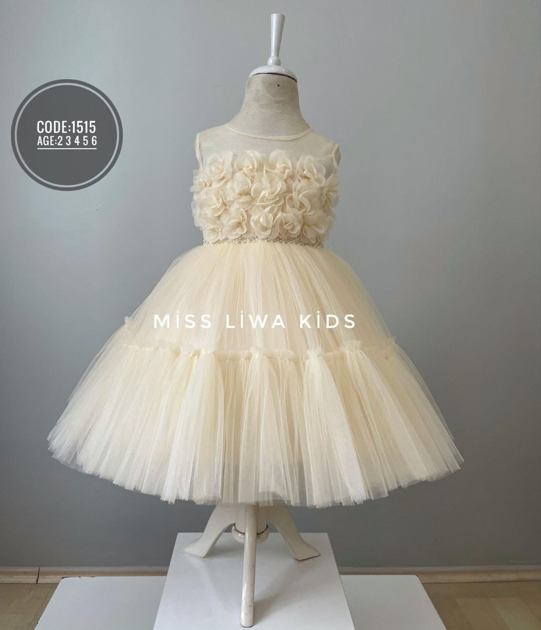 ✨ Robes princesses – Qualité supérieure - REFT