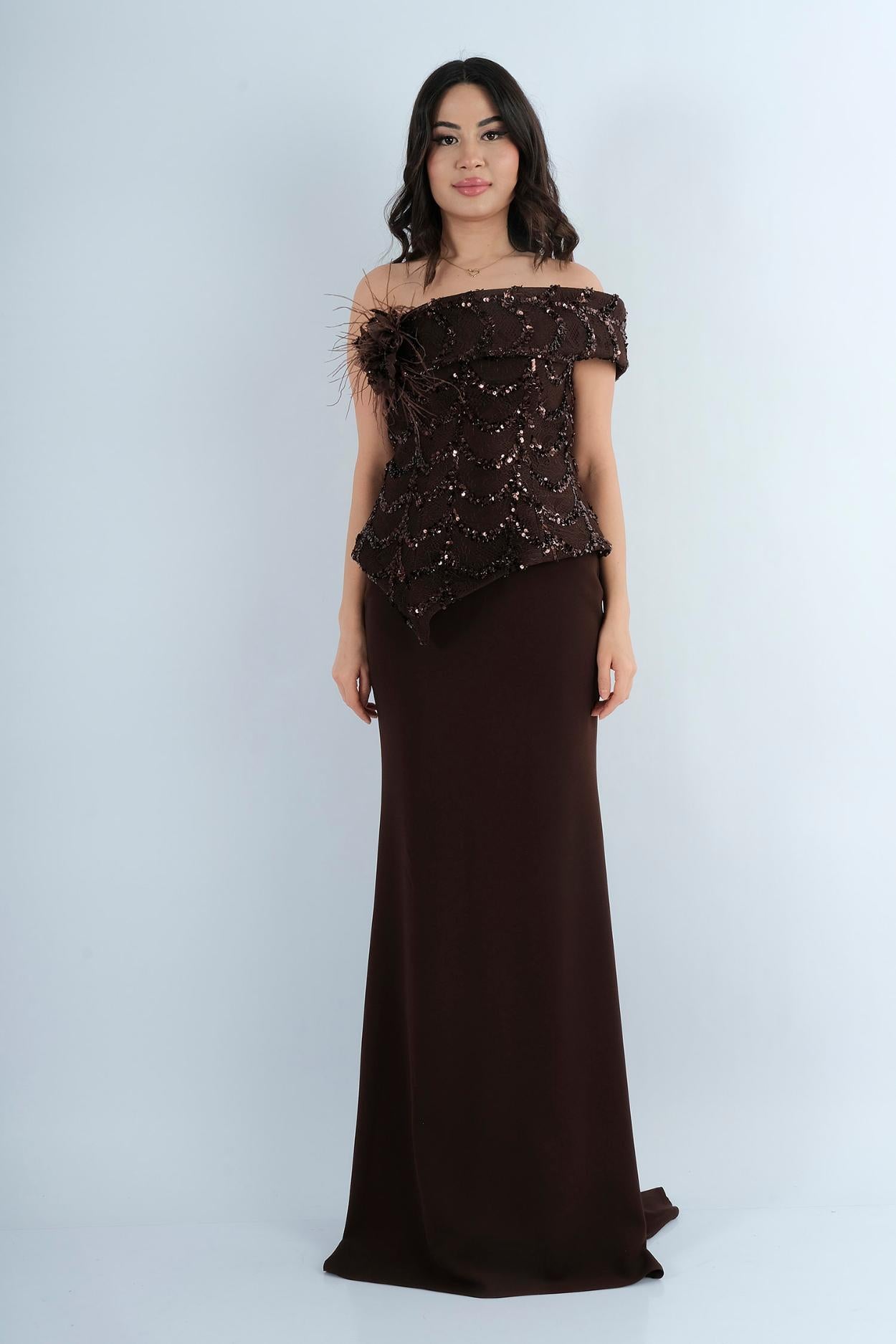 Robe Longue de Soirée Bustier Brodé à Plumes