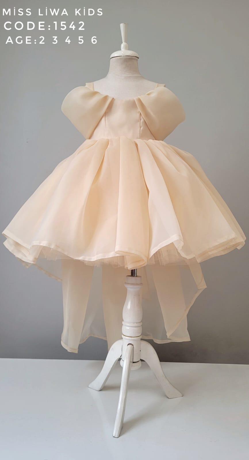 ✨ Robes princesses – Qualité supérieure - REFT