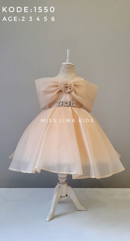 ✨ Robes princesses – Qualité supérieure - REFT