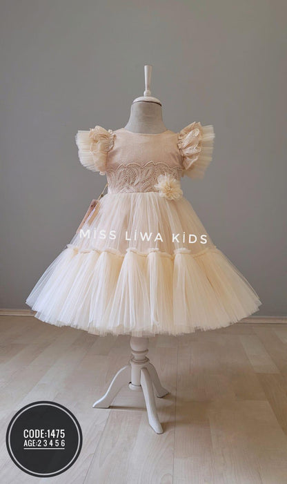 ✨ Robes princesses – Qualité supérieure - REFT
