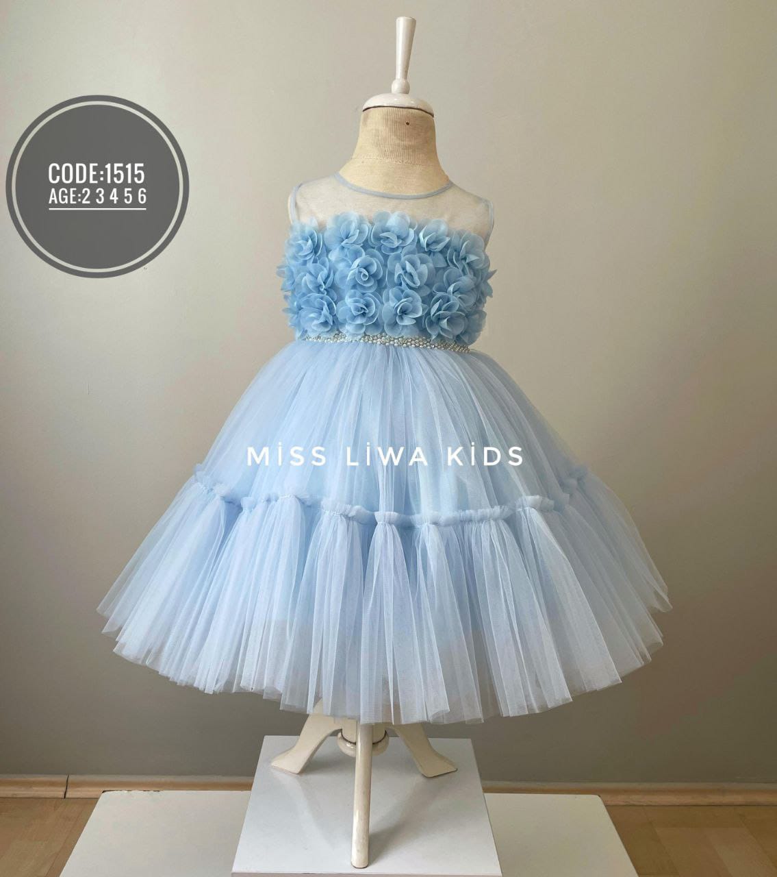 ✨ Robes princesses – Qualité supérieure - REFT