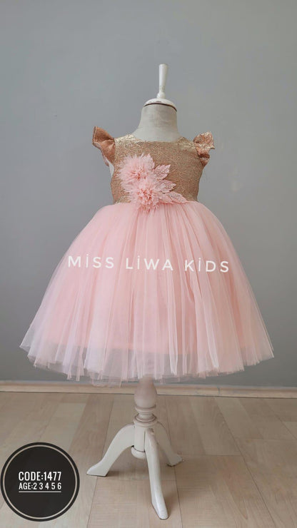 ✨ Robes princesses – Qualité supérieure - REFT